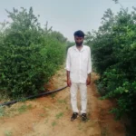 जयपुर के किसान हंसराज गुर्जर ने नीम की पत्तियों से देशी कीटनाशी बनाकर नींबू की फसल में डाई बैक और दीमक रोग पर काबू पाया