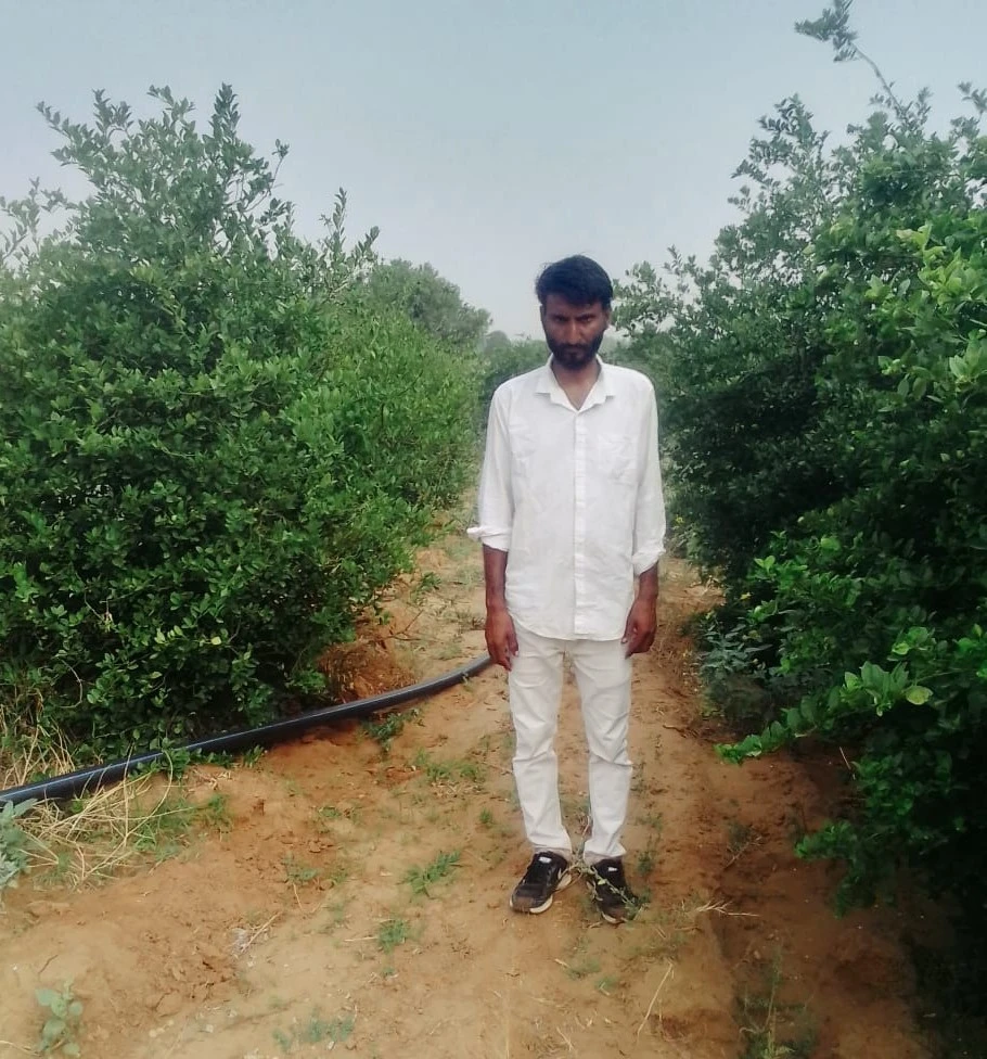 जयपुर के किसान हंसराज गुर्जर ने नीम की पत्तियों से देशी कीटनाशी बनाकर नींबू की फसल में डाई बैक और दीमक रोग पर काबू पाया